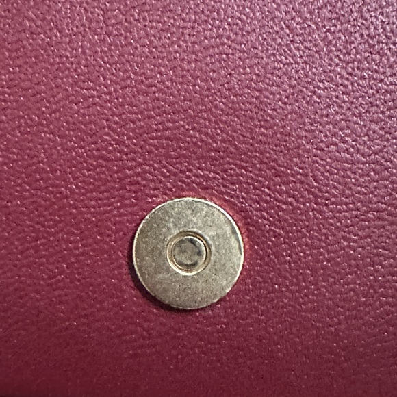 SEE BY CHLOE HANA BAG (NOT MINI) COCONUT BROWN (rare) - Picture 8 of 16